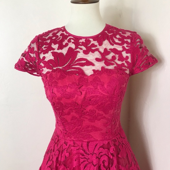 Ted Baker Caree Lace A line Dress - Picture 3 of 8